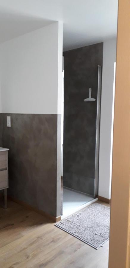 Le Montagnon Apartment Laruns Exterior photo